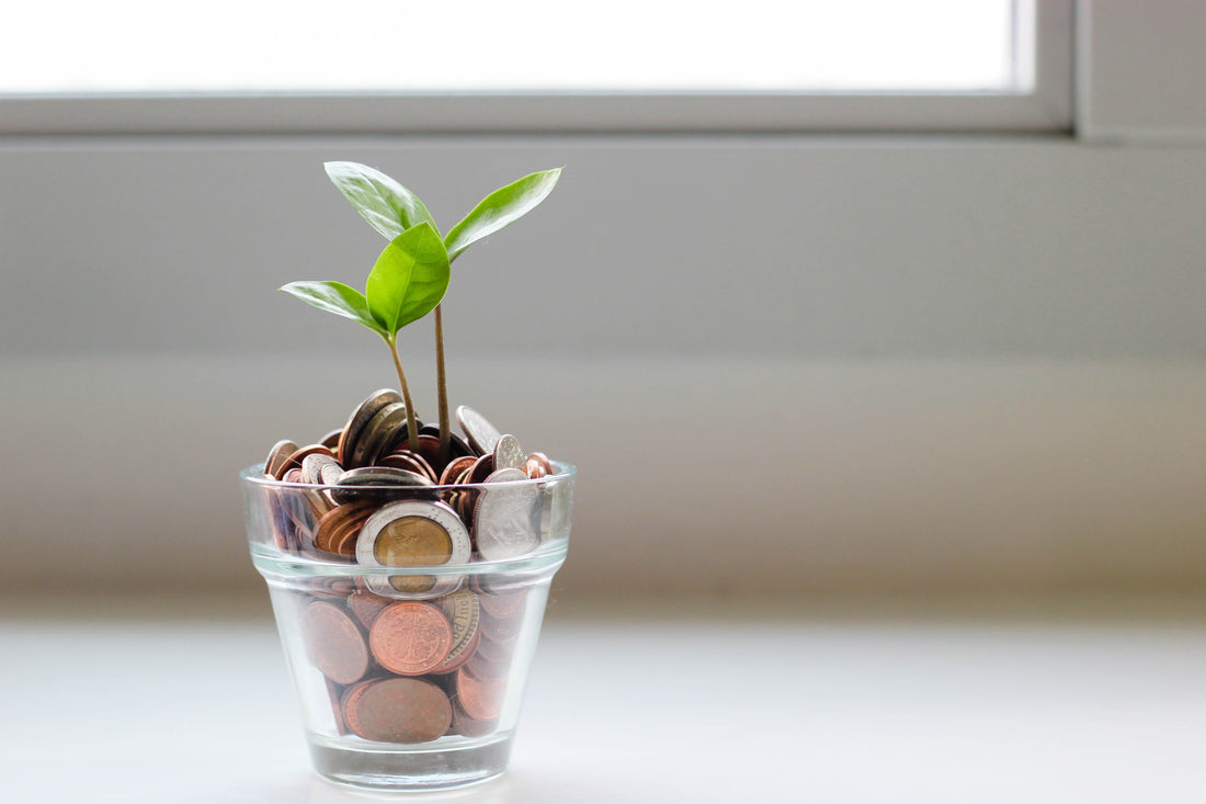 How To Save Money On Food Shopping - theskinnyfoodco