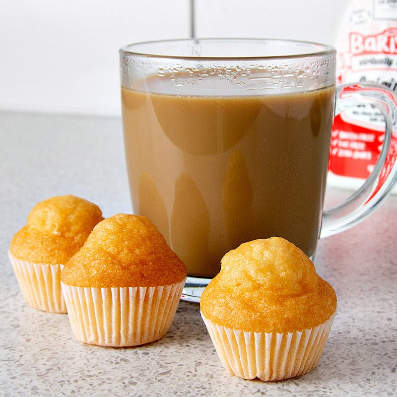 Skinny Muffins - Sugar Free (65 Calories Per Muffin) - 200g - theskinnyfoodco