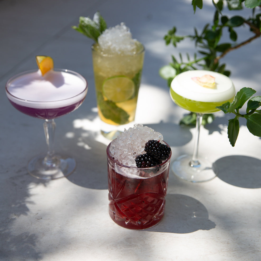 Die besten Gin-Cocktails – Cocktail-Rezepte – theskinnyfoodco